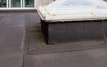 disadvantages of Sherbourne Street flat roofs