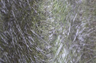 Sherbourne Street fibreglass roof work